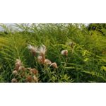 Zdjęcia użytkowników OnePlus 5 Zdjęcia użytkowników OnePlus 5