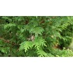 Zdjęcia użytkowników OnePlus 5 Zdjęcia użytkowników OnePlus 5