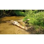 Zdjęcia użytkowników OnePlus 5 Zdjęcia użytkowników OnePlus 5