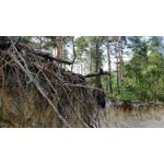 Zdjęcia użytkowników OnePlus 5 Zdjęcia użytkowników OnePlus 5