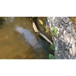 Zdjęcia użytkowników OnePlus 5 Zdjęcia użytkowników OnePlus 5