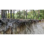 Zdjęcia użytkowników OnePlus 5 Zdjęcia użytkowników OnePlus 5