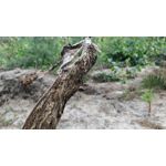 Zdjęcia użytkowników OnePlus 5 Zdjęcia użytkowników OnePlus 5