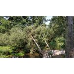 Zdjęcia użytkowników OnePlus 5 Zdjęcia użytkowników OnePlus 5