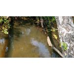 Zdjęcia użytkowników OnePlus 5 Zdjęcia użytkowników OnePlus 5