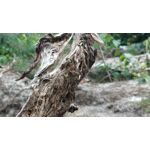 Zdjęcia użytkowników OnePlus 5 Zdjęcia użytkowników OnePlus 5