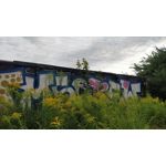 Zdjęcia użytkowników OnePlus 5 Zdjęcia użytkowników OnePlus 5