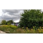 Zdjęcia użytkowników OnePlus 5 Zdjęcia użytkowników OnePlus 5