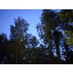 Zdjęcia użytkowników OnePlus 5 Zdjęcia użytkowników OnePlus 5