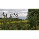 Zdjęcia użytkowników OnePlus 5 Zdjęcia użytkowników OnePlus 5