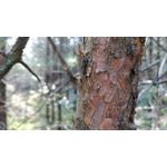 Zdjęcia użytkowników OnePlus 5 Zdjęcia użytkowników OnePlus 5