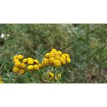 Zdjęcia użytkowników OnePlus 5 Zdjęcia użytkowników OnePlus 5