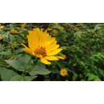 Zdjęcia użytkowników OnePlus 5 Zdjęcia użytkowników OnePlus 5