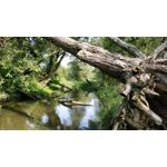 Zdjęcia użytkowników OnePlus 5 Zdjęcia użytkowników OnePlus 5