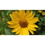 Zdjęcia użytkowników OnePlus 5 Zdjęcia użytkowników OnePlus 5