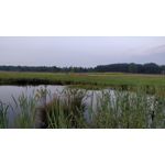 Zdjęcia użytkowników OnePlus 5 Zdjęcia użytkowników OnePlus 5