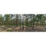 Zdjęcia użytkowników OnePlus 5 Zdjęcia użytkowników OnePlus 5