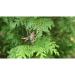 Zdjęcia użytkowników OnePlus 5 Zdjęcia użytkowników OnePlus 5