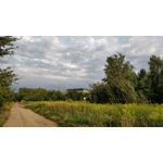 Zdjęcia użytkowników OnePlus 5 Zdjęcia użytkowników OnePlus 5