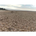 Zdjęcia użytkowników OnePlus 5 Zdjęcia użytkowników OnePlus 5