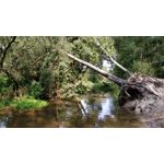 Zdjęcia użytkowników OnePlus 5 Zdjęcia użytkowników OnePlus 5