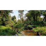 Zdjęcia użytkowników OnePlus 5 Zdjęcia użytkowników OnePlus 5