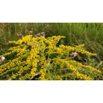 Zdjęcia użytkowników OnePlus 5 Zdjęcia użytkowników OnePlus 5