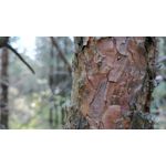 Zdjęcia użytkowników OnePlus 5 Zdjęcia użytkowników OnePlus 5