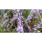 Zdjęcia użytkowników OnePlus 5 Zdjęcia użytkowników OnePlus 5