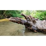 Zdjęcia użytkowników OnePlus 5 Zdjęcia użytkowników OnePlus 5