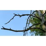 Zdjęcia użytkowników OnePlus 5 Zdjęcia użytkowników OnePlus 5