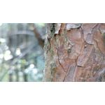 Zdjęcia użytkowników OnePlus 5 Zdjęcia użytkowników OnePlus 5