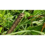 Zdjęcia użytkowników OnePlus 5 Zdjęcia użytkowników OnePlus 5