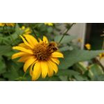 Zdjęcia użytkowników OnePlus 5 Zdjęcia użytkowników OnePlus 5