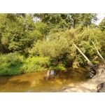 Zdjęcia użytkowników OnePlus 5 Zdjęcia użytkowników OnePlus 5