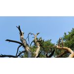 Zdjęcia użytkowników OnePlus 5 Zdjęcia użytkowników OnePlus 5