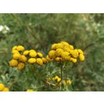 Zdjęcia użytkowników OnePlus 5 Zdjęcia użytkowników OnePlus 5