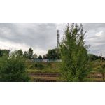 Zdjęcia użytkowników OnePlus 5 Zdjęcia użytkowników OnePlus 5