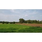 Zdjęcia użytkowników OnePlus 5 Zdjęcia użytkowników OnePlus 5