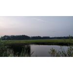 Zdjęcia użytkowników OnePlus 5 Zdjęcia użytkowników OnePlus 5