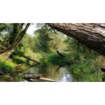 Zdjęcia użytkowników OnePlus 5 Zdjęcia użytkowników OnePlus 5