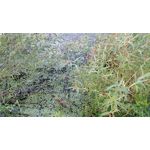 Zdjęcia użytkowników OnePlus 5 Zdjęcia użytkowników OnePlus 5