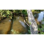 Zdjęcia użytkowników OnePlus 5 Zdjęcia użytkowników OnePlus 5