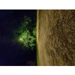 Zdjęcia użytkowników OnePlus 7T