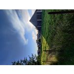 Zdjęcia użytkowników OnePlus 7T