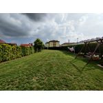 Zdjęcia użytkowników OnePlus 7T