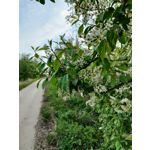 ZDJĘCIA Z TEGO TELEFONU