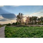 Zdjęcia użytkowników OnePlus 8 Pro