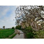 ZDJĘCIA Z TEGO TELEFONU