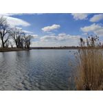 Zdjęcia użytkowników OnePlus 9 Pro